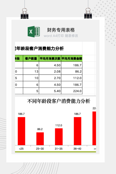 企业客户按年龄段分层的消费能力与行为分析看板Excel模板