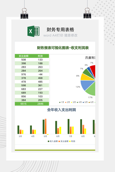 财务报表可视化图表Excel模板 - 自动生成收支利润分析