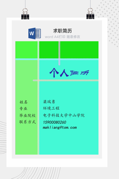 多彩表格样式求职简历Word模板 - 创意个人介绍