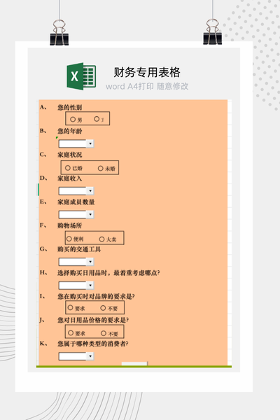 零售行业消费者行为与购物偏好市场调研分析报告Excel模板