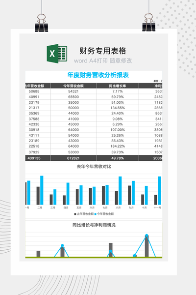 年度财务营收分析报表Excel模板 - 自动生成可视化图表