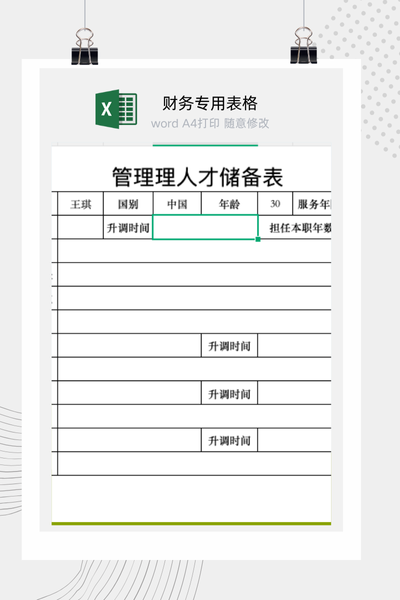 企业核心管理人才储备与培养计划表Excel模板