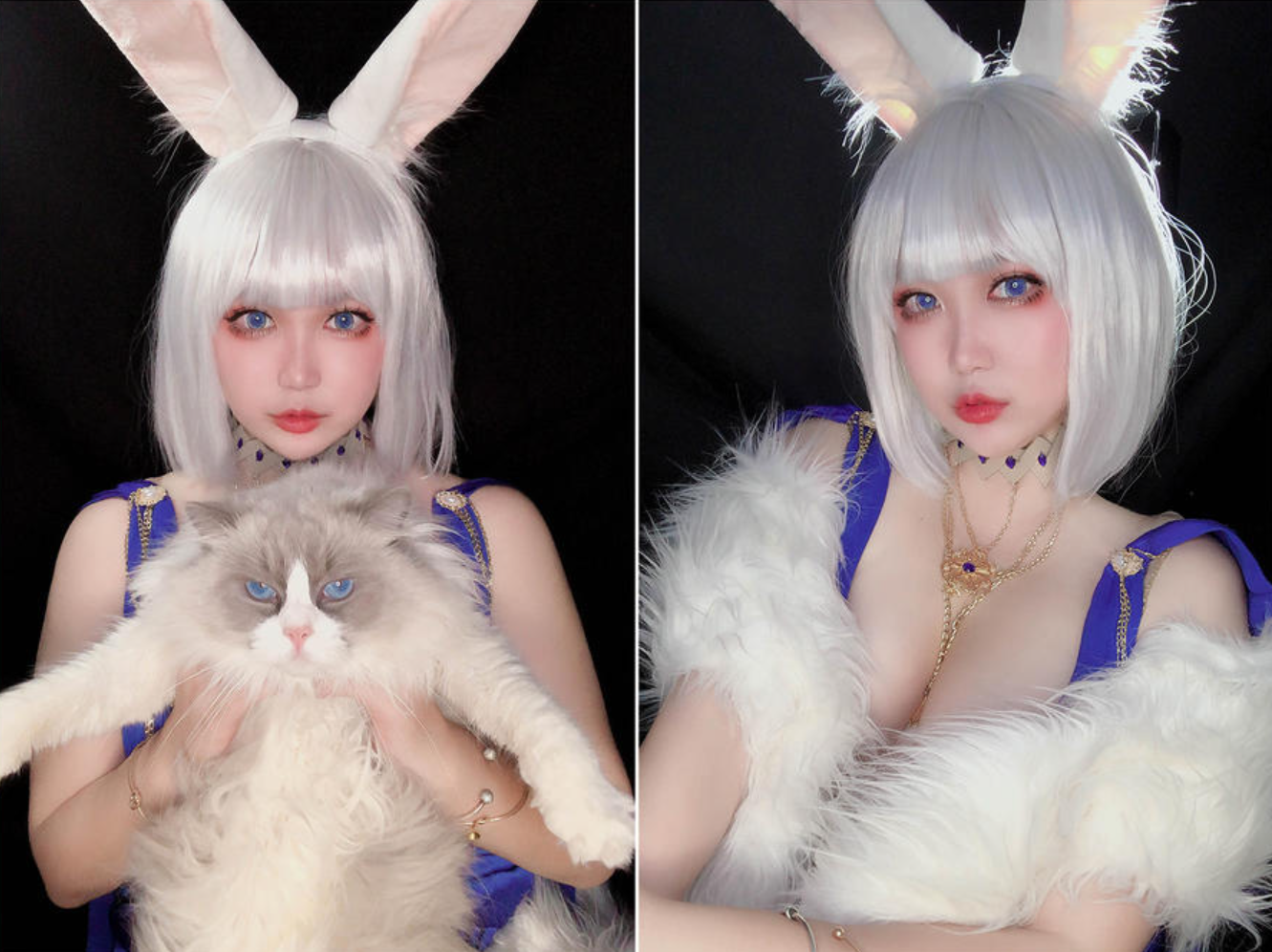 【椒妮佐仁(椒盐酱虾仁)】Cosplay完整作品资源合集下载